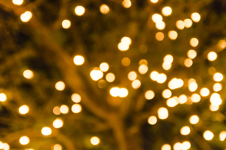 bokeh light in nature backgroundの写真素材