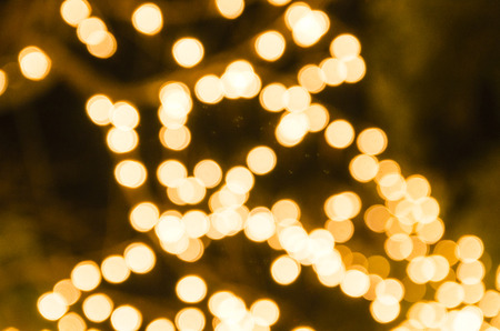 bokeh light in nature backgroundの写真素材