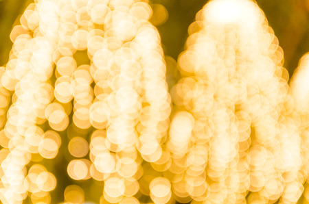 bokeh light in nature background