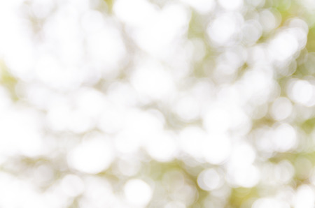 bokeh light in nature backgroundの写真素材