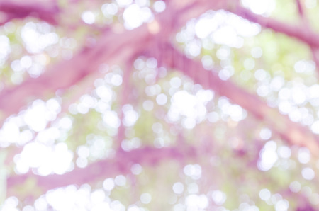 bokeh abstract light and blur backgroundの写真素材