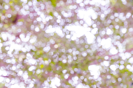 bokeh abstract light and blur backgrounds