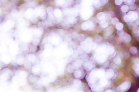bokeh abstract light and blur backgroundsの写真素材