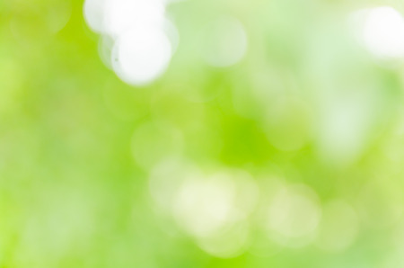 green bokeh background from nature under tree shadeの写真素材