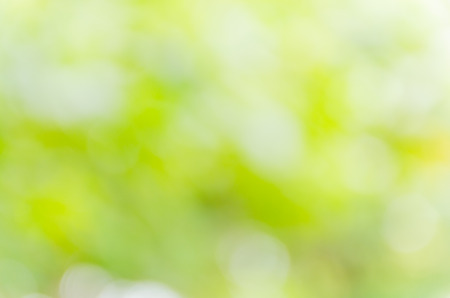 green bokeh background from nature under tree shadeの写真素材