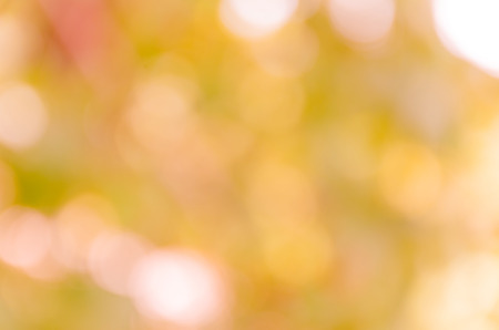 bright pink bokeh from natureの写真素材