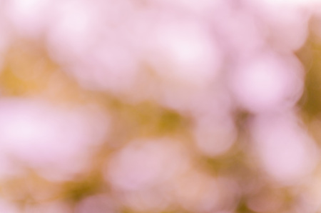 bright pink bokeh from nature