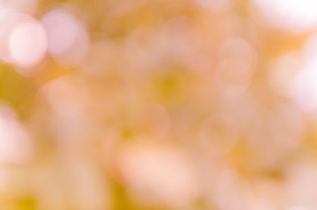 bright pink bokeh from nature