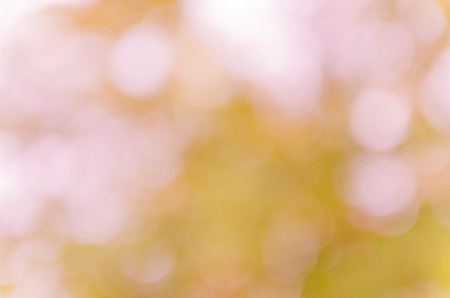 bright pink bokeh from natureの写真素材