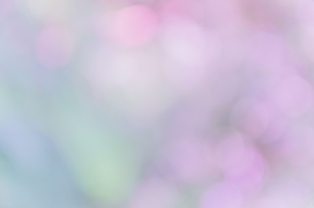 Bokeh background from nature under tree shade