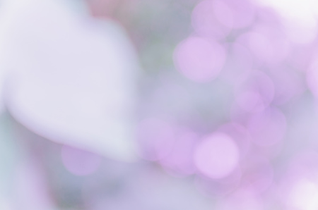 violet bokeh background from natureの写真素材