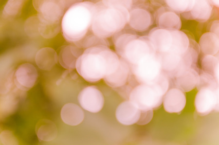 Bokeh background from nature under tree shadeの写真素材