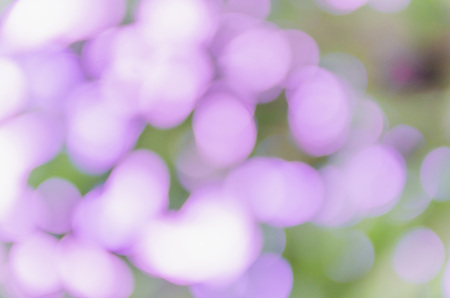 violet bokeh background from natureの写真素材