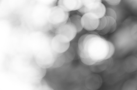 Gray bokeh out of focus background from nature forestの写真素材
