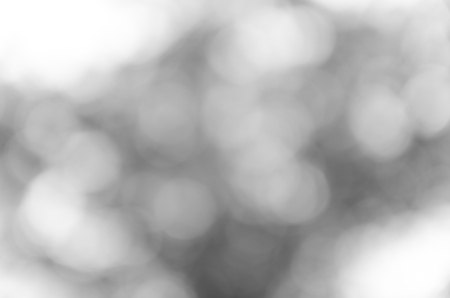Gray black white bokeh out of focus background from nature forestの写真素材