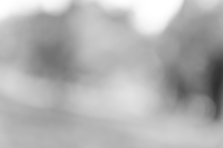 Gray black white bokeh out of focus background from nature forestの写真素材