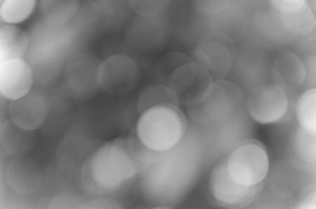 Gray bokeh out of focus background from nature forestの写真素材