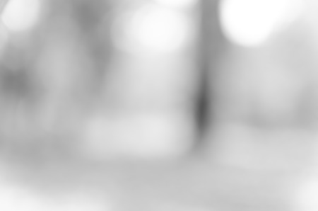Gray black white bokeh out of focus background from nature forestの写真素材