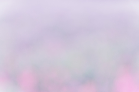 Bokeh background from nature under tree shadeの写真素材