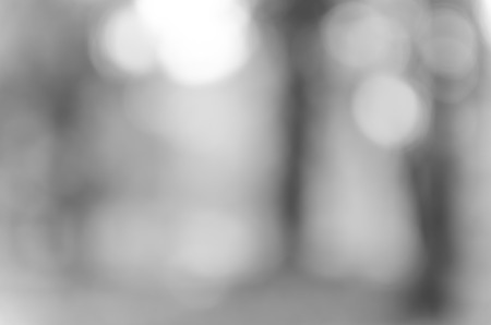 Gray black white bokeh out of focus background from nature forestの写真素材