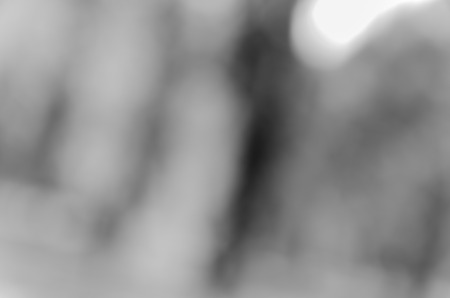 Gray black white bokeh out of focus background from nature forestの写真素材