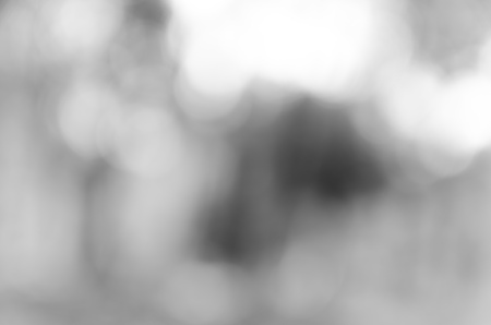 Gray black white bokeh out of focus background from nature forestの写真素材