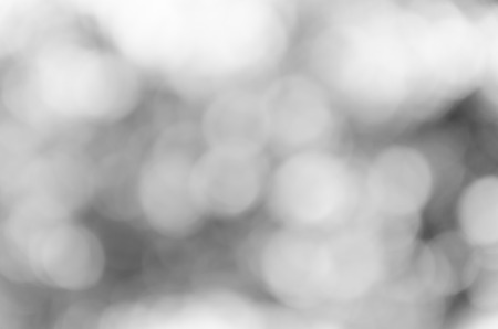 Gray black white bokeh out of focus background from nature forestの写真素材