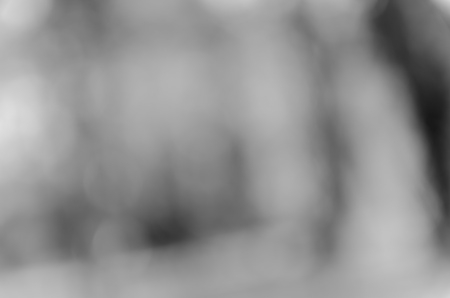 Gray black white bokeh out of focus background from nature forestの写真素材