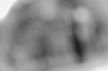 Gray black white bokeh out of focus background from nature forestの写真素材