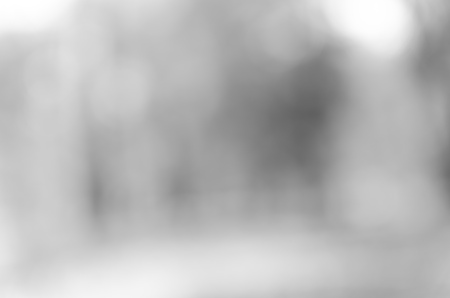 Gray black white bokeh out of focus background from nature forestの写真素材