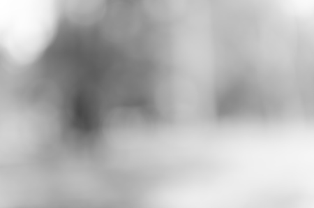 Gray black white bokeh out of focus background from nature forestの写真素材