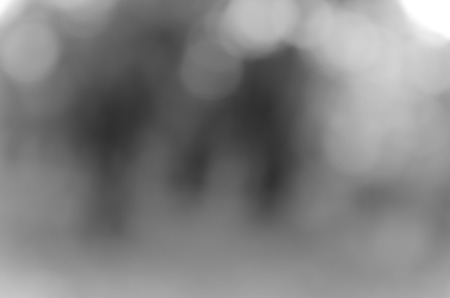 Gray black white bokeh out of focus background from nature forestの写真素材