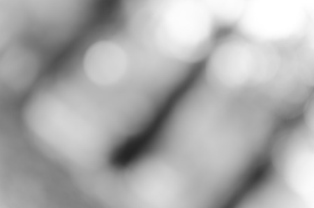 Gray black white bokeh out of focus background from nature forestの写真素材
