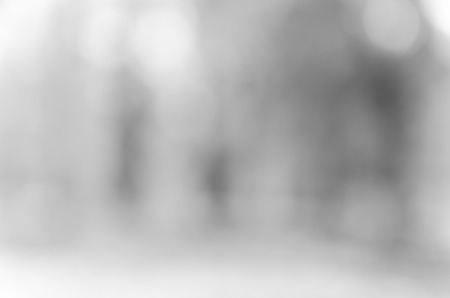 Gray black white bokeh out of focus background from nature forestの写真素材