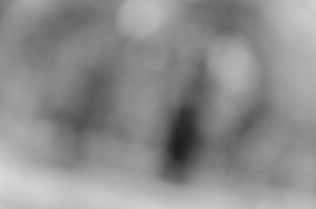 Gray black white bokeh out of focus background from nature forestの写真素材