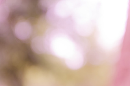Violet and blue blur bokeh summer backgroundの写真素材