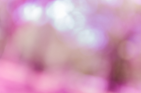 Violet and blue blur bokeh summer backgroundの写真素材