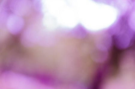 Violet and blue blur bokeh summer backgroundの写真素材