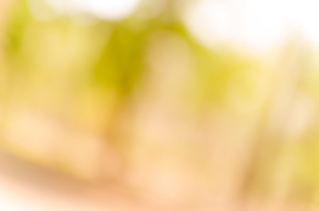 Abstract spring background. Green natural background of out of focus forest or bokeh.の写真素材