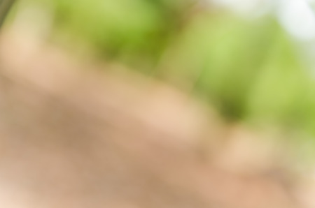 Green bokeh out of focus backgroundの写真素材