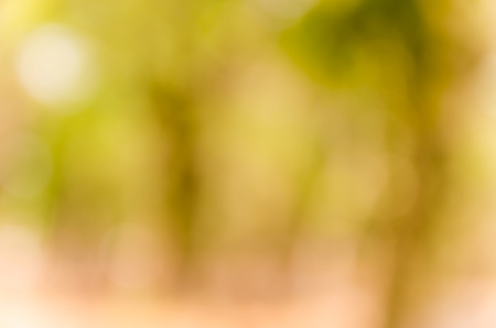 Abstract spring background. Green natural background of out of focus forest or bokeh.の写真素材