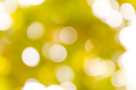 Abstract spring background. Green natural background of out of focus forest or bokeh.の写真素材