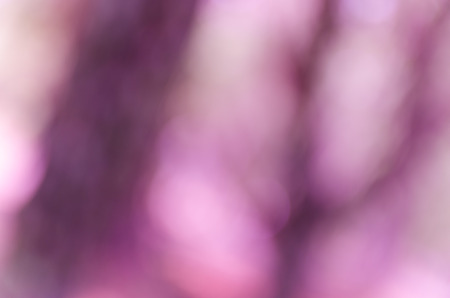 Violet and blue blur bokeh summer backgroundの写真素材