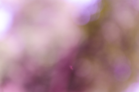 Violet and blue blur bokeh summer backgroundの写真素材
