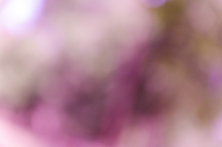 Violet and blue blur bokeh summer backgroundの写真素材