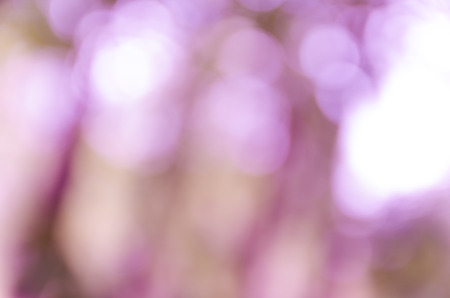 Violet and blue blur bokeh summer backgroundの写真素材