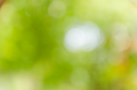 Green bokeh out of focus backgroundの写真素材