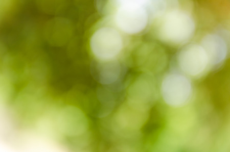 Green bokeh out of focus backgroundの写真素材