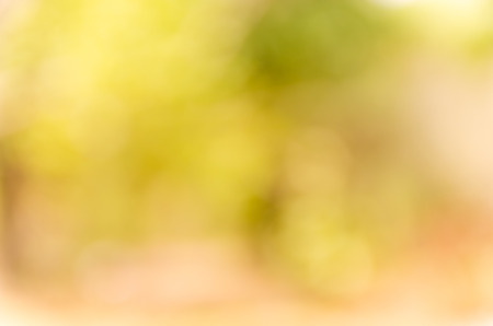 Abstract spring background. Green natural background of out of focus forest or bokeh.の写真素材