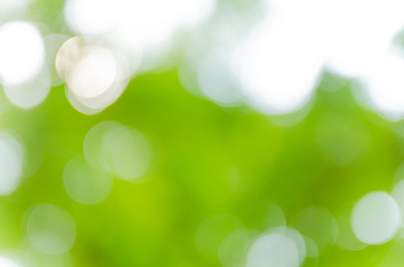 Green bokeh out of focus backgroundの写真素材